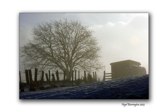 Memories of a winters day 1