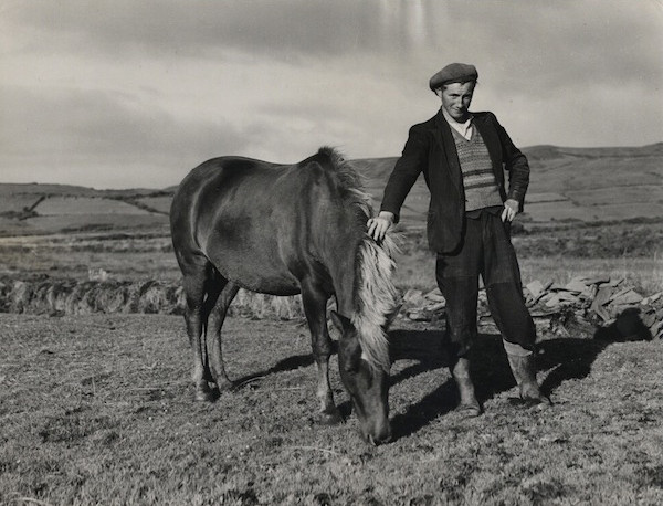 Dorothea Lange Michael Kenneally on His 30 Acres [Ireland]
