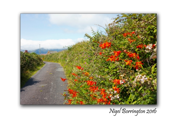 The Path to the beach county Kerry 4