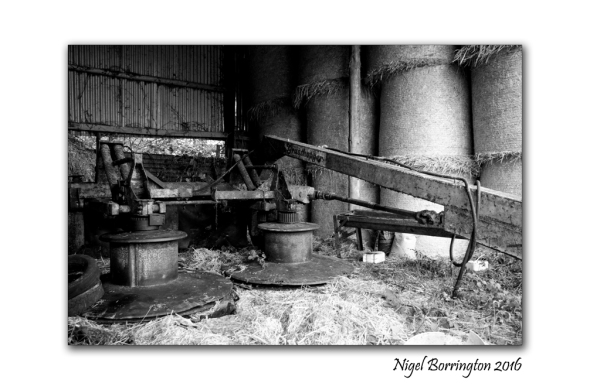 winters-day-on-the-farm-167-nigel-borrington